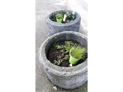 Bild zur gratis inserierten Ferienwohnung Ferienwohnung-2102373.