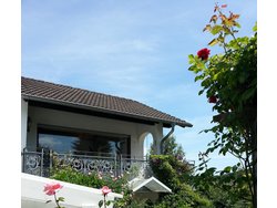 Ferienwohnung Ferienwohnung-2102381 in Bad Marienberg (Westerwald) (Westerwaldkreis) - 2 Personen, Hund erlaubt