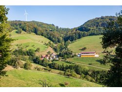 Ferienwohnung Ferienwohnung-2102979 in Freiamt - 5 Personen, Hund erlaubt
