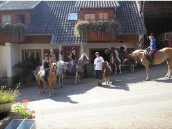 Ferienwohnung Ferienwohnung-2102989 in Seelbach (Verwaltungsgemeinschaft Seelbach) - 3 Personen, Hund erlaubt