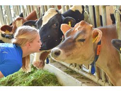 Bild zur gratis inserierten Ferienwohnung Ferienwohnung-2102991.