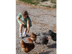 Ferienwohnung Ferienwohnung-2103016 in Schuttertal - 2 Personen, Hund nicht erlaubt