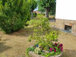 Bild zur gratis inserierten Ferienwohnung Ferienwohnung-2103698.