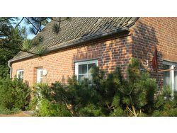 Bild zur gratis inserierten Ferienwohnung Ferienhaus-2105723.