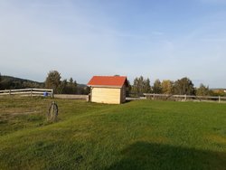 Ferienhaus Ferienhaus-2105779 in Höchstädt im Fichtelgebirge - 4 Personen, Hund erlaubt