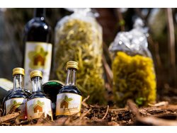 Bild zur gratis inserierten Ferienwohnung Ferienhaus-2105815.