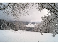 Ferienwohnung Ferienwohnung-2107908 in Grainet - 4 Personen, Hund erlaubt