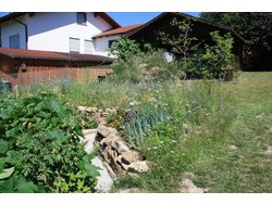 Bild zur gratis inserierten Ferienwohnung Ferienwohnung-2110796.