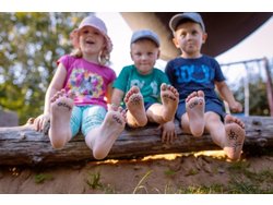 Ferienwohnung Ferienwohnung-2111050 in Gunzenhausen - 6 Personen, Hund nicht erlaubt