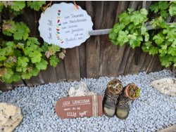 Bild zur gratis inserierten Ferienwohnung Ferienhaus-2111857.