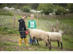 Bild zur gratis inserierten Ferienwohnung Ferienwohnung-2128222.
