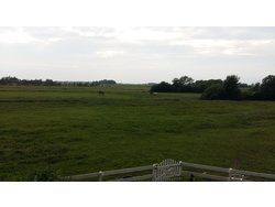 Bild zur gratis inserierten Ferienwohnung Ferienwohnung-2131829.