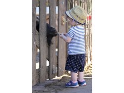 Bild zur gratis inserierten Ferienwohnung Ferienwohnung-2131831.