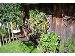 Bild zur gratis inserierten Ferienwohnung Ferienwohnung-2134014.