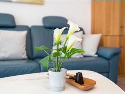 Bild zur gratis inserierten Ferienwohnung Ferienwohnung-2136405.