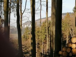 Bild zur gratis inserierten Ferienwohnung Ferienwohnung-2136748.