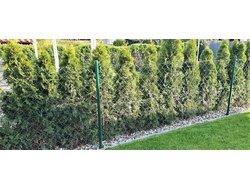 Ferienhaus Ferienhaus-1639454 in Dargun - 4 Personen, Hund erlaubt