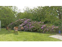 Bild zur gratis inserierten Ferienwohnung Ferienwohnung-2149998.