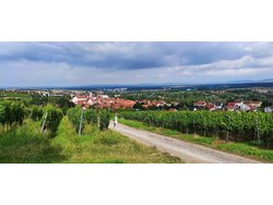 Bild zur gratis inserierten Ferienwohnung Ferienwohnung-2151711.