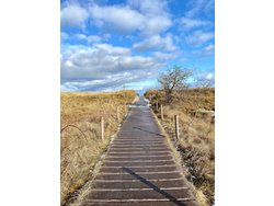 Ferienhaus Ferienhaus-2152446 in Hohwacht - 8 Personen, Hund nicht erlaubt