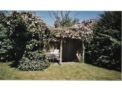 Bild zur gratis inserierten Ferienwohnung Ferienwohnung-2153491.