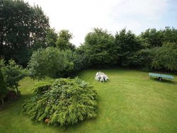 Bild zur gratis inserierten Ferienwohnung Ferienwohnung-2156029.