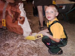 Bild zur gratis inserierten Ferienwohnung Ferienwohnung-2157707.