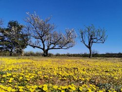 Bild zur gratis inserierten Ferienwohnung Ferienwohnung-2158336.