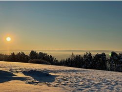 Ferienwohnung Ferienwohnung-2159448 in Pleinfeld - 4 Personen, Hund erlaubt