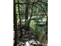 Bild zur gratis inserierten Ferienwohnung Ferienwohnung-2174092.