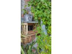 Ferienwohnung Ferienwohnung-2174656 in Obernburg (Obernburg am Main) - 3 Personen, Hund nicht erlaubt