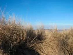 Bild zur gratis inserierten Ferienwohnung Ferienwohnung-1322256.