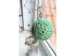 Bild zur gratis inserierten Ferienwohnung Ferienwohnung-1412068.