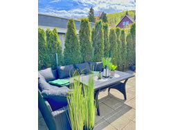 Bild zur gratis inserierten Ferienwohnung Ferienwohnung-2180709.