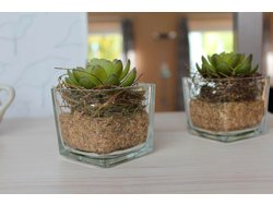 Bild zur gratis inserierten Ferienwohnung Ferienwohnung-1852399.