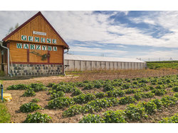 Bild zur gratis inserierten Ferienwohnung Ferienhaus-2120211.