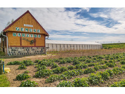 Bild zur gratis inserierten Ferienwohnung Ferienhaus-2120213.