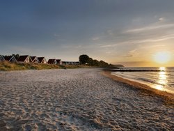 Ferienhaus Ferienhaus-1879553 in Schashagen - 4 Personen, Hund erlaubt