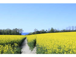 Bild zur gratis inserierten Ferienwohnung Ferienwohnung-2182237.