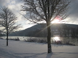 Ferienwohnung Ferienwohnung-2189874 in Langenprozelten - 3 Personen, Hund nicht erlaubt