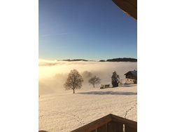 Bild zur gratis inserierten Ferienwohnung Ferienwohnung-2197622.