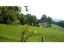 Bild zur gratis inserierten Ferienwohnung Ferienwohnung-1558783.