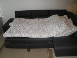 Bild zur gratis inserierten Ferienwohnung Ferienwohnung-2192905.