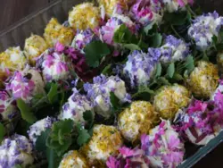 Ferienwohnung Ferienwohnung-2194606 in Waldkraiburg - 4 Personen, Hund nicht erlaubt