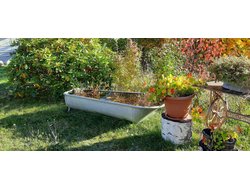 Ferienwohnung Ferienwohnung-2197711 in Fichtelberg - 4 Personen, Hund nicht erlaubt