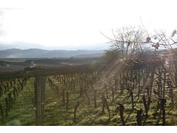 Bild zur gratis inserierten Ferienwohnung Ferienwohnung-1643137.