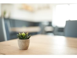 Ferienwohnung Ferienwohnung-2201501 in Ifta - 6 Personen, Hund nicht erlaubt