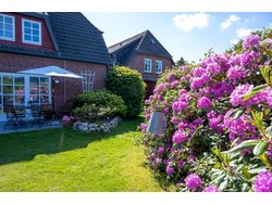 Bild zur gratis inserierten Ferienwohnung Ferienwohnung-2202552.