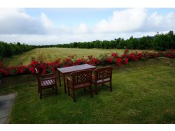 Bild zur gratis inserierten Ferienwohnung Ferienhaus-2219711.