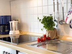 Bild zur gratis inserierten Ferienwohnung Ferienwohnung-2206619.